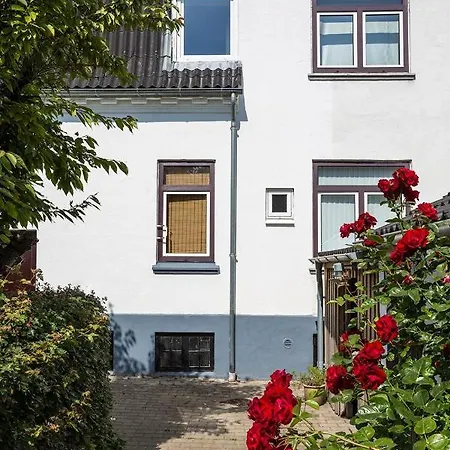 Lägenhet Cozy 1-bedroom In Ålborg